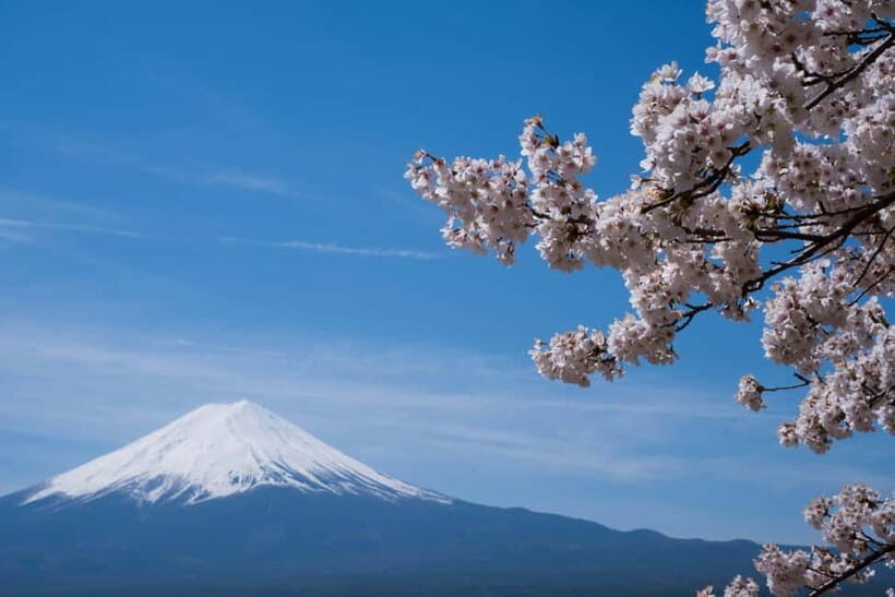 1-Day Mt Fuji and Hakone Sightseeing trip from Tokyo - Oishi Park: views, shopping, and a slower pace