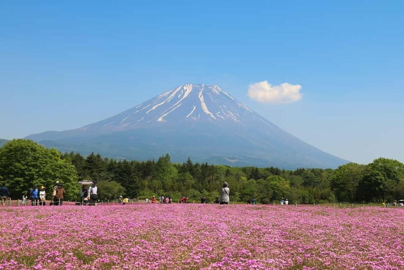 1-Day Mt Fuji and Hakone Sightseeing trip from Tokyo - Owakudani Valley to Hakone Shrine: scenery shift, then culture