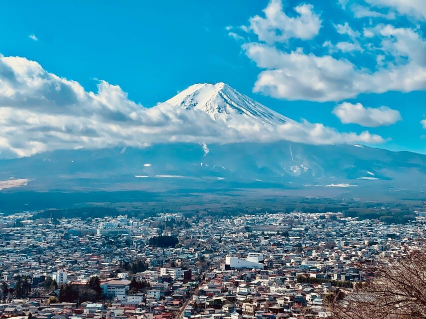 1-Day Mt Fuji and Hakone Sightseeing trip from Tokyo - The guide and the car: where the experience can really make or break
