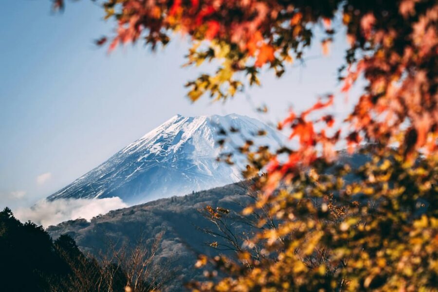 1-Day Mt Fuji and Hakone Sightseeing trip from Tokyo - Pickup and drop-off: choose the one that fits your base