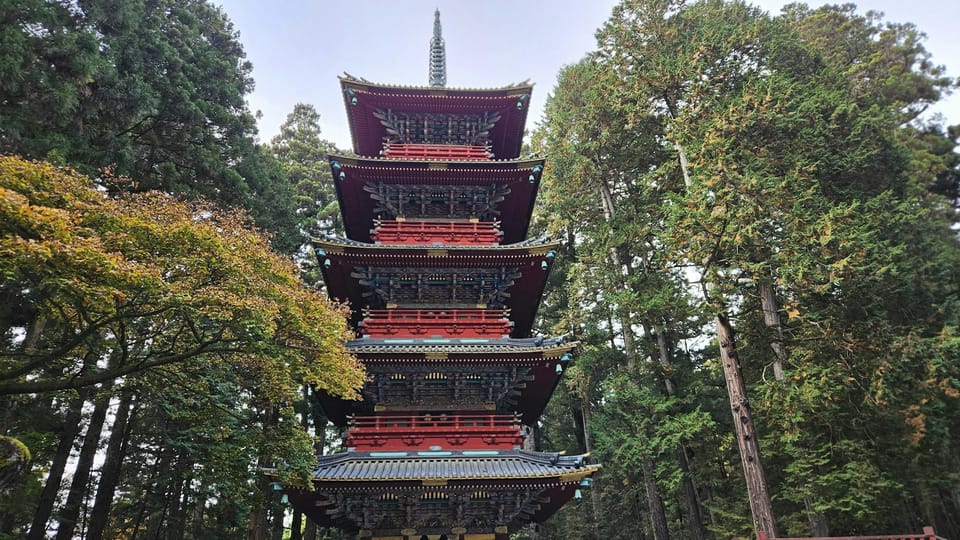 1 Day Nikko Wonders Tour from Tokyo - How Private-Group Touring Plays Out (and When It Feels Off)