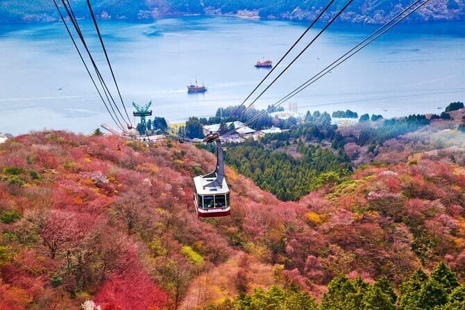 1 Day Private Tour to Hakone-Gotemba With English Speaking Driver - Hakone Shrine in the forest: calm spiritual design and hot-spring culture