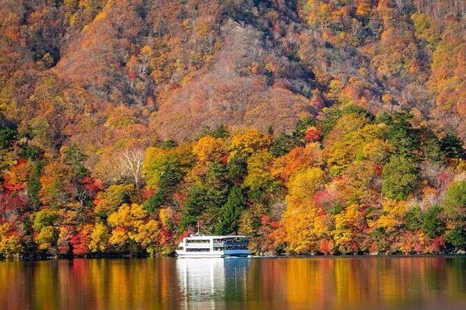 1- Day Private Tour to Nikko Tochigi With English Speaking Driver - Nikko Tosho-gu (Toshogu Shrine): carvings you can’t rush