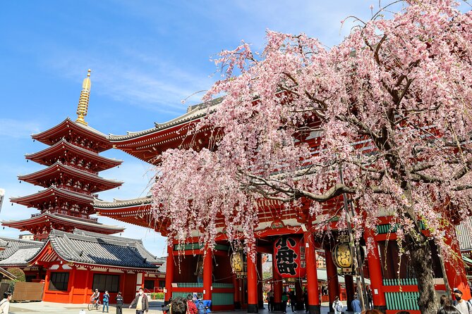 1-Day Tokyo Bus Tour - Where the Day Starts: Shinjuku Meet Point and How the Coach Tour Flows