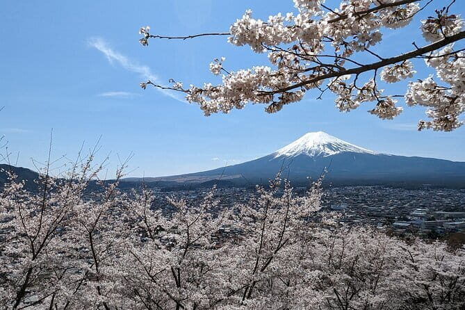1 Day Tour Explore Nikko’s World Heritage and National Park - What kind of traveler should book this