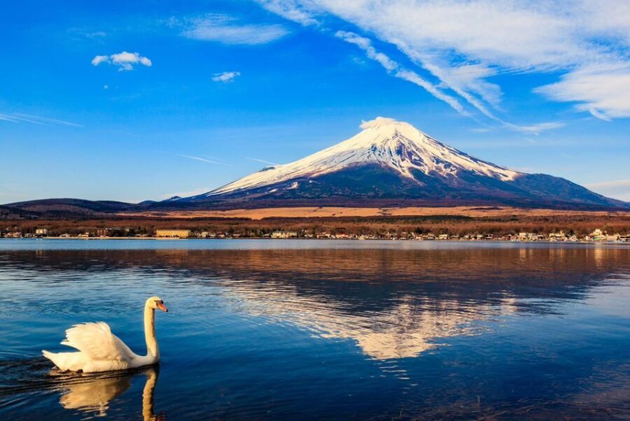 1-Day trip: Mt Fuji + Kawaguchi Lake area - Quick hits: what makes this Fuji day work