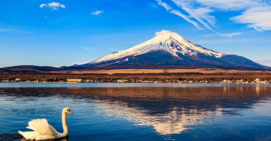 1-Day trip: Mt Fuji + Kawaguchi Lake area - Your Fuji base: Lake Kawaguchi and choosing the right “type” of stop