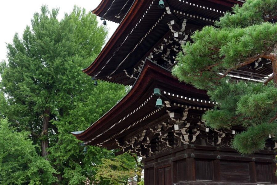 1-Day trip: Mt Fuji + Kawaguchi Lake area - Oishi Park at Kawaguchi Lake for seasonal flowers