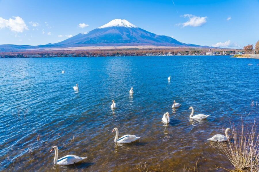 1-Day trip: Mt Fuji + Kawaguchi Lake area - Mt Fuji Panorama Ropeway: a view-focused break from walking