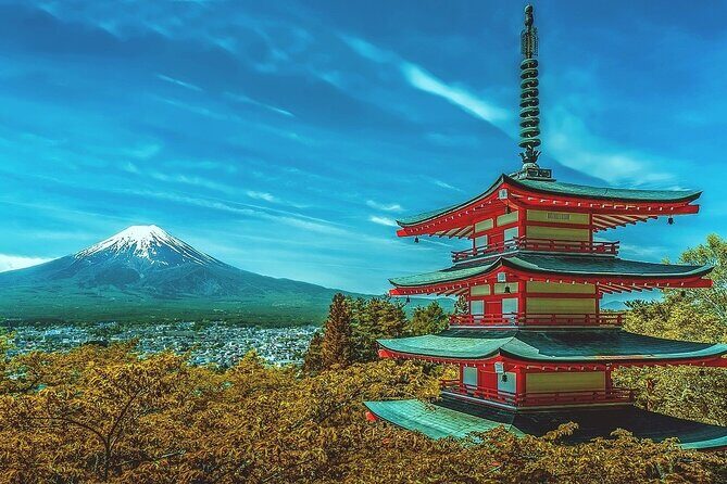 10-Day Private Tour with more than 60 Attractions in Japan - Key points that make this tour work