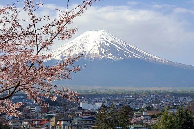 2 Days Tokyo ,Mount Fuji / Hakone Private Tour from Tokyo - The Value of a Private Tokyo + Hakone Plan That Moves