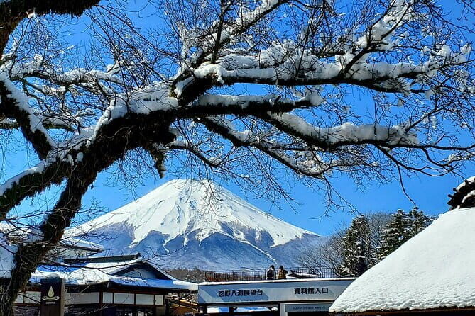 2 Days Tokyo ,Mount Fuji / Hakone Private Tour from Tokyo - The Guide Factor: Why a Great Driver-Guide Changes Everything
