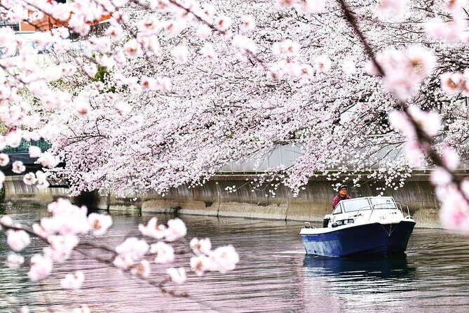 2 Hours Private Cruising Boat Tour;Tokyo Bay & River - Hamarikyu Gardens by Boat: Edo-Era Shogun Grounds Without the Footwork