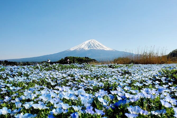 3 Days Tokyo, Mt. Fuji and Hakone Private Tour from Tokyo - Key Highlights to Notice Before You Go