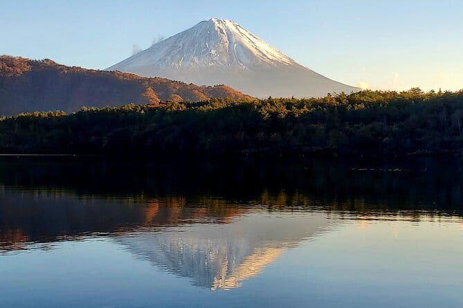 3 Days Tokyo, Mt. Fuji and Hakone Private Tour from Tokyo - How the Private Car Makes Day Trips Feel Easy