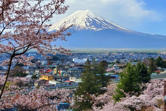 3 Days Tokyo, Mt. Fuji and Hakone Private Tour from Tokyo - Day 2: Fuji Five Lakes Day From Chureito Pagoda to Saiko Lake