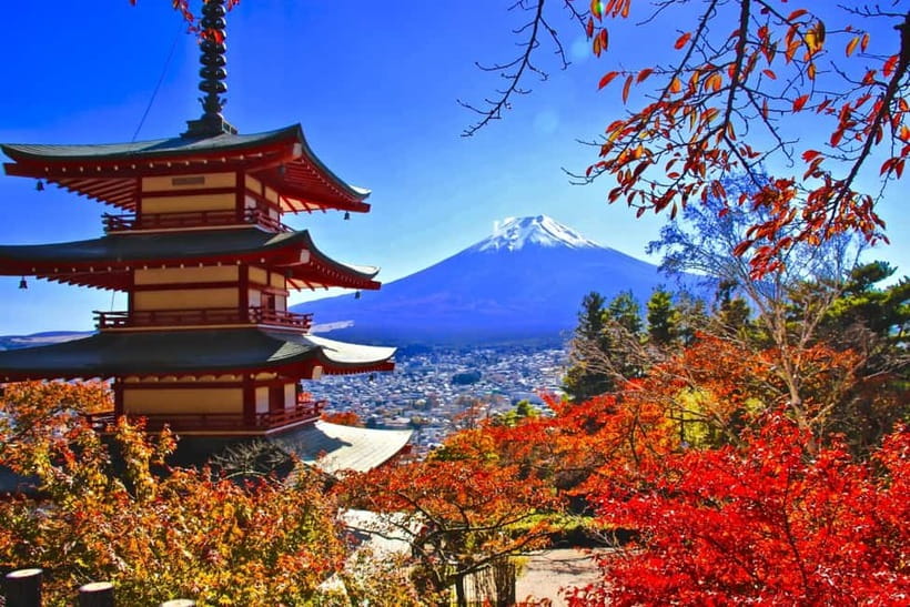 3-Row Luxury Bus Tour to Mt. Fuji, Lake Kawaguchi from Tokyo - Key things to know before you go
