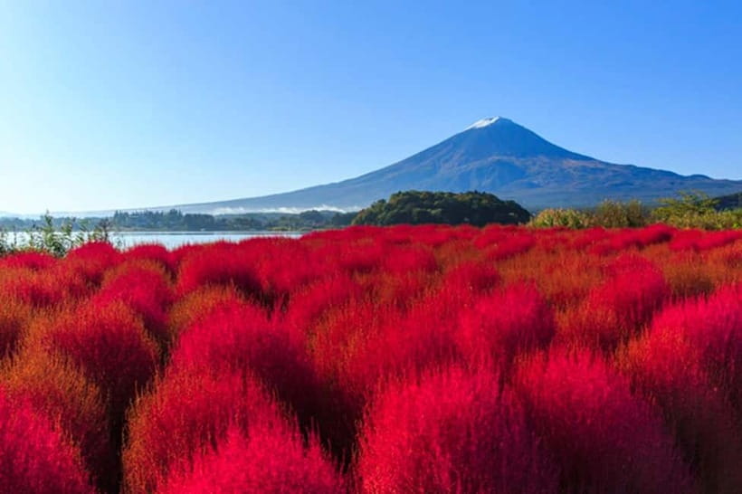 3-Row Luxury Bus Tour to Mt. Fuji, Lake Kawaguchi from Tokyo - Multiple Mt. Fuji Photo Stops From Tokyo in 10 Hours
