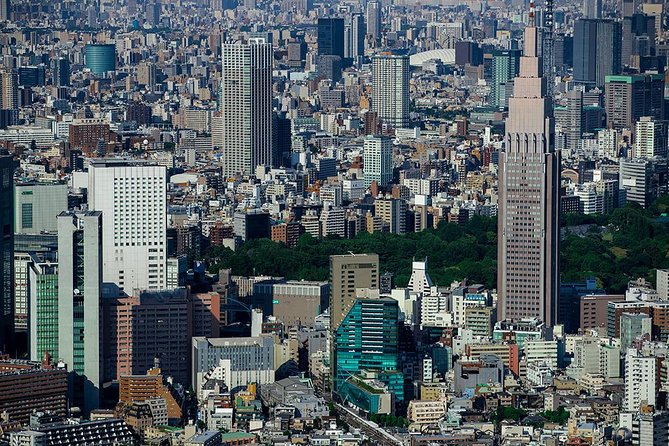 30-Min Tokyo Central Private Heli Tour– Asakusa, Skytree, Shibuya - Comfort, Weight Limits, and Why Private Matters