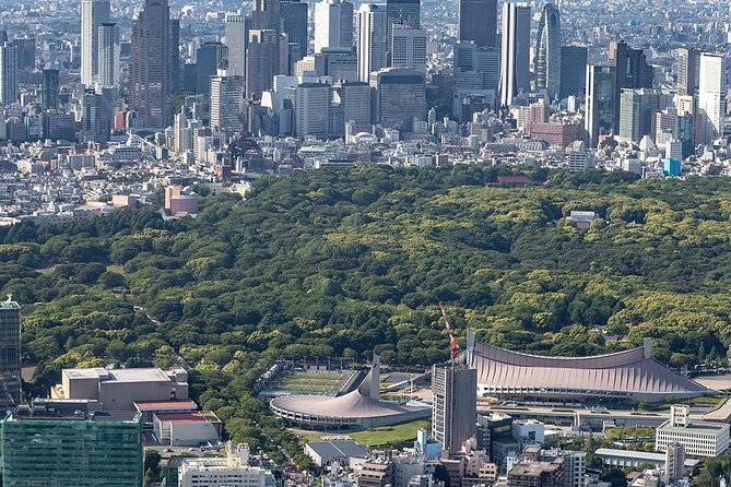 30-Min Tokyo Central Private Heli Tour– Asakusa, Skytree, Shibuya - Price and Value: Is a Helicopter Ride Worth $1,887.77?