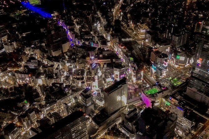 【50 mins】 City lights HelicopterTour: Tokyo and Yokohama plan - Small rules that can affect who should book