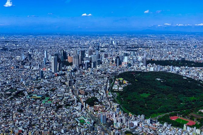 75-Min Mt. Fuji Half Day Private Helicopter Tour - Timing that works: 75 minutes total, with 1 hour 15 in the air