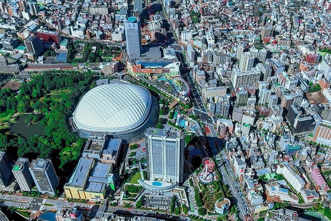 75-Min Mt. Fuji Half Day Private Helicopter Tour - What you actually see while flying: Tokyo, possible Fuji, and that wow-from-above feeling