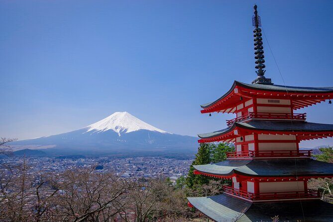 9-Day Japan and South Korea Highlight Tour - Key Highlights to Notice Before You Go