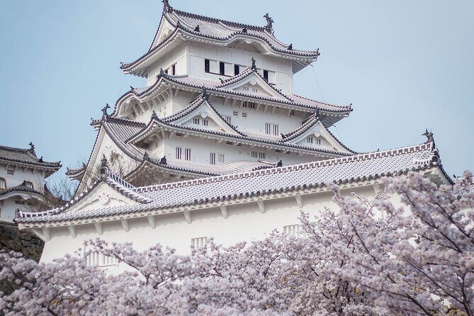 9-Day Japan and South Korea Highlight Tour - Narita Arrival and the First Hotel Night