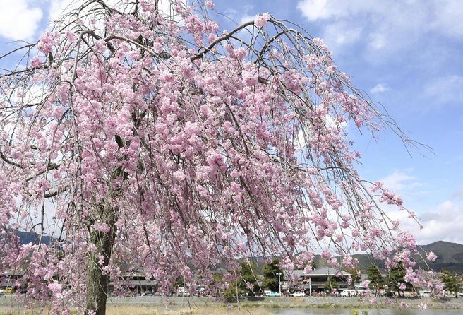 9-Day Japan and South Korea Highlight Tour - Tokyo Like a Real City: Shrines, Markets, Neon, and a Metro Plan