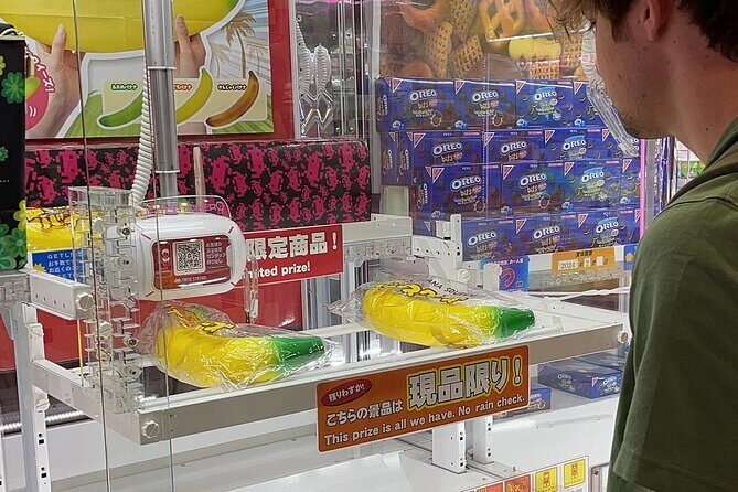 Akihabara Otaku Group Tour - Arcade fun and collectible advice without the guesswork