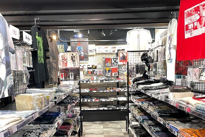 Akihabara Otaku Group Tour - Quick logistics that affect your comfort