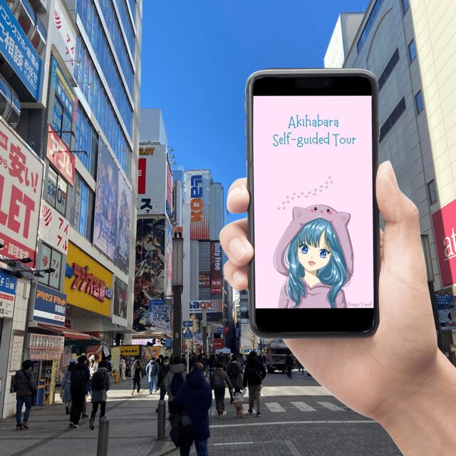 Akihabara: Self-Guided Tour with a special brochure - Food Picks and the Tanaka Ramen Reality Check