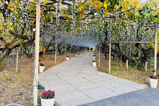 Ashikaga Flowers Park Pvt. One Day Tour with Pickup - Making a 10-hour day trip feel relaxed: timing, pacing, and expectations