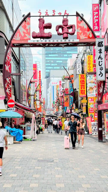 Awesome Private Tour: Tsukiji, Asakusa, Shinjuku, Shibuya - Key Things I’d Put on Your Shortlist