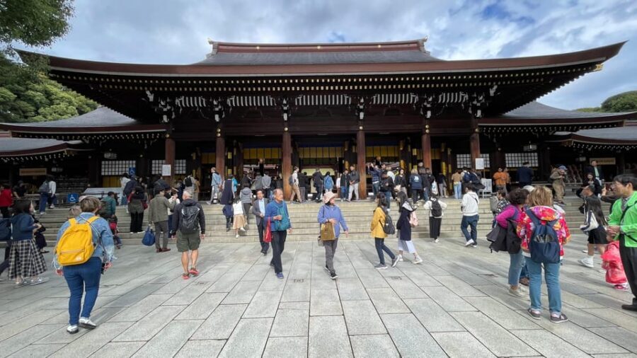 Awesome Private Tour: Tsukiji, Asakusa, Shinjuku, Shibuya - Who Should Book This Tokyo Private Tour?