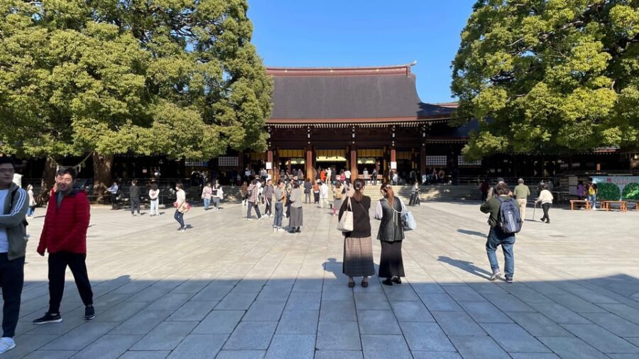 Awesome Private Tour: Tsukiji, Asakusa, Shinjuku, Shibuya - Ueno as a Breather Before the Night Shift