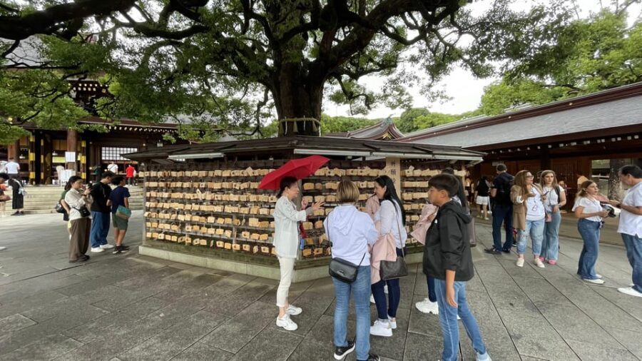 Awesome Private Tour: Tsukiji, Asakusa, Shinjuku, Shibuya - Price and Logistics: What $116 Covers, and What to Budget Extra