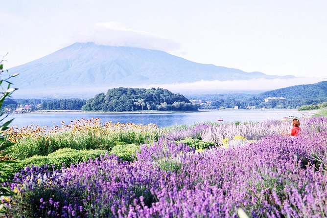 Barrier-Free Private Mt. Fuji Tour for Wheelchair Users - A wheelchair-accessible Mt. Fuji day that stays realistic