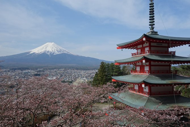 Barrier-Free Private Mt. Fuji Tour for Wheelchair Users - Price and what you’re really buying (especially for a wheelchair tour)