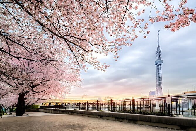 Best of Tokyo Private Tour English Driver &Customizable Itinerary - Price and value: what $450 per group really buys