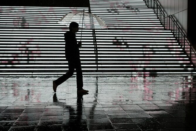 Blade Runner photo workshop in Shibuya with Laurence Bouchard - Price and value: is $97.98 worth it?