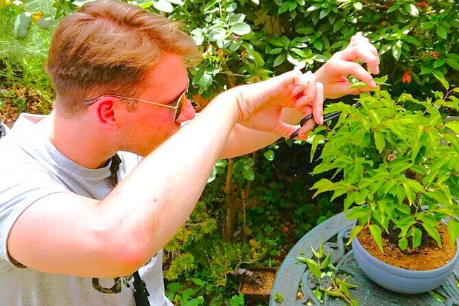 Bonsai Tour & Experience at the Most Sacred City for Bonsai in JP - Key highlights to know before you go