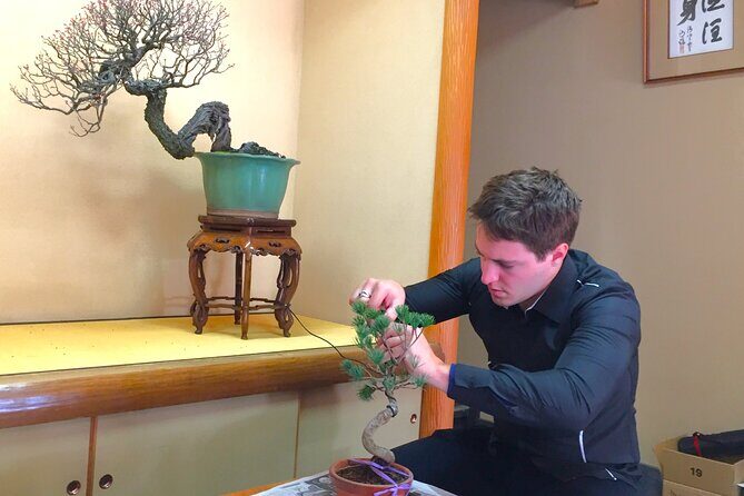 Bonsai Tour & Experience at the Most Sacred City for Bonsai in JP - Bonsai-cho: why this area matters for your bonsai understanding