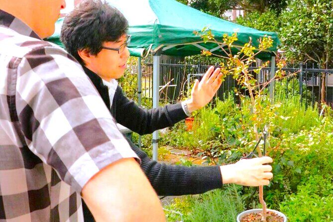 Bonsai Tour & Experience at the Most Sacred City for Bonsai in JP - Price and value: is $55.52 worth it?