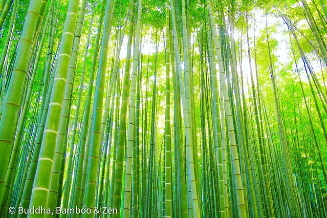 Buddha, Bamboo & Zen - Bespoke Kamakura Private Walking Tours - Hasedera’s Eleven-headed Kannon and garden time