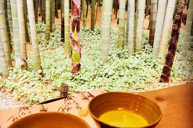 Buddha, Bamboo & Zen - Bespoke Kamakura Private Walking Tours - Tsurugaoka Hachimangu: Shinto, warriors, and calm views