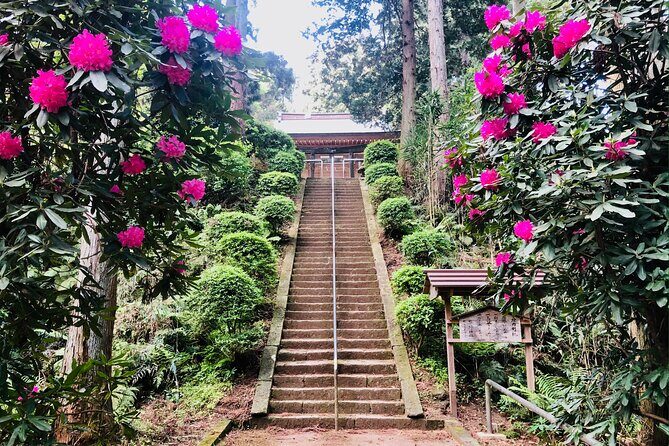 Buddha, Bamboo & Zen - Bespoke Kamakura Private Walking Tours - The day starts at Kotoku-in: the Great Buddha without the hassle