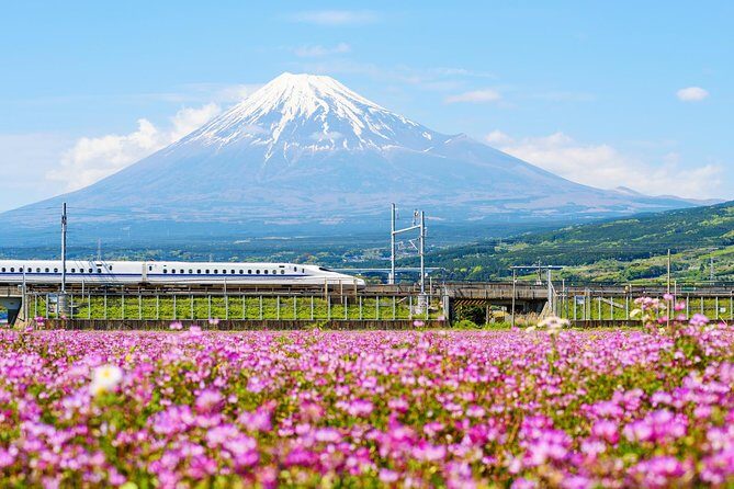 Bullet Train and Mt. Fuji Famous Food Tour - Fujinomiya food tour time: 6 stops, bento, and lunch at an 80-year restaurant