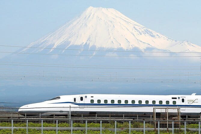 Bullet Train Experience & Mishima Shrine Private Tour from Tokyo - Key highlights at a glance